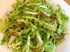 丁香鱼拌苦菊-同和居(什刹海店)