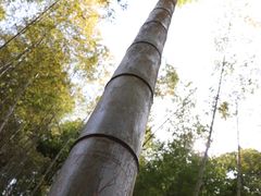 -溪口-滕头旅游景区