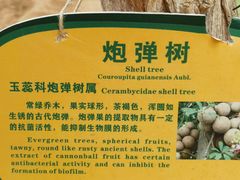 -北戴河集发农业梦想王国