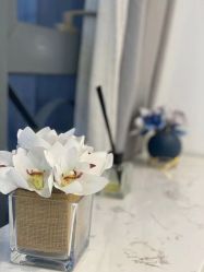 -MIVI野生眉纹绣纹眉