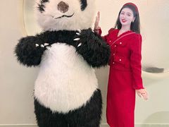 -眉州东坡·熊猫主题餐厅(枫蓝店)