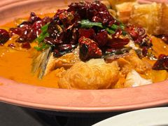 -柿合缘新京菜(国金中心商场店)