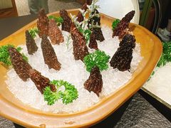 -季季山·云南野生菌火锅(上海首店)