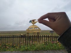 -苏泊罕大草原旅游景区