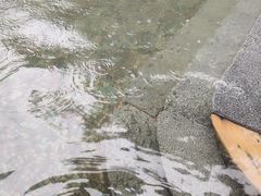 -长白山聚龙火山温泉