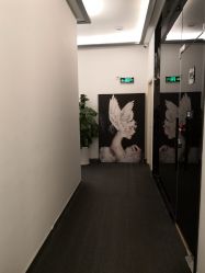 -DEM缔怡美科技美容