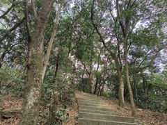 -深圳仙湖植物园