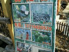 -北京水岸山吧度假村(雁栖镇店)