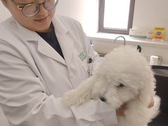 -心仪动物医院·牙专科·肿瘤·心脏科(西客站院)