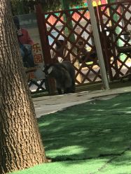 -萌宠亲子动物乐园(槐房万达店)