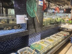 -海派美食·家宴海鲜青岛菜·石锅鲽鱼头(东方城店)