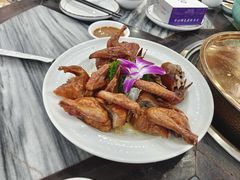 -鸽鸟轩(石岐店)