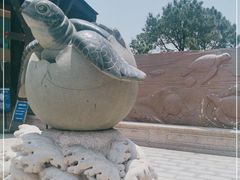 -广东惠东海龟国家级自然保护区