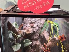 -中国湿地博物馆