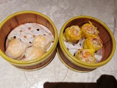 -雍容荟活波龙自助餐(IFS黑金店)