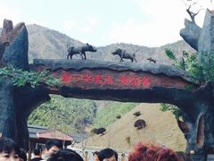 -浙东第一尖雪山欢乐谷