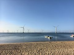 -阿弟特色海鲜餐厅·大排档(平潭店)