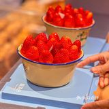 陈家祠！！懂的已经抢到了！🍓🎄