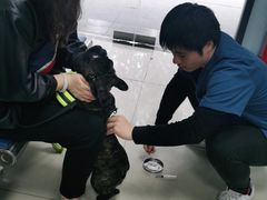 -申普宠物医院·眼科·心内科·影像科(普陀分院)