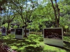 -野象谷景区