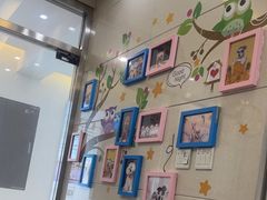 -北京观赏动物医院·24小时大型综合·猫专科·异宠专科