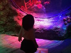 -沈阳海洋探索中心