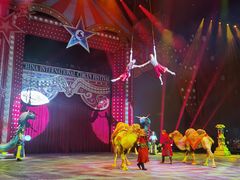 -珠海横琴长隆《卡卡虎奇遇记》