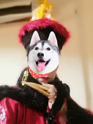 -盘子女人坊古装写真摄影(天津总店)