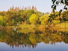-上海吴淞炮台湾国家湿地公园