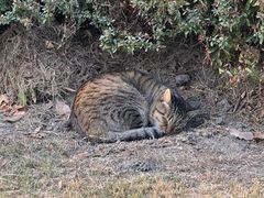 -华东政法大学(松江校区)