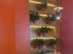 -鲁秀才炒鸡(龙湖西溪天街店)