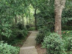 -上海佘山国家森林公园天马山园