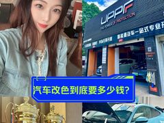 -天猫养车贴膜轻改·蓝电(优匹康桥东路店)