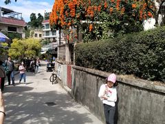 -南丫岛