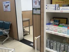 -米苏动物医院·犬猫专科·骨科外科内窥镜