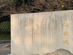 -习家池