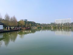 景点-汤湖公园