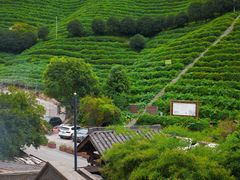 -心无尘茶餐馆(径山村店)