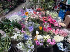 -苏州市皮市街花鸟工艺品市场