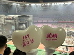 -杭州奥体中心-体育场