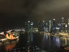 -新加坡丽思卡尔顿美年酒店