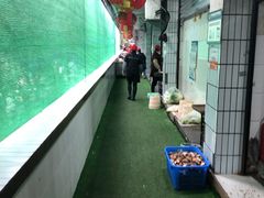 -弓虽昌焖烧鸡(大竹林店)