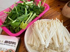 -屯昌枫木香草鸭(羊栏店)