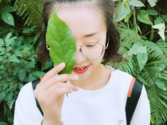-深圳仙湖植物园-停车场