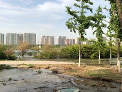 -永定河休闲森林公园