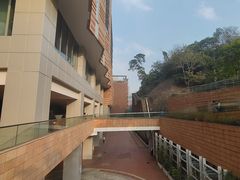 -香港大学