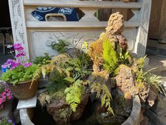 -龙姐私房菜(和顺古镇店)