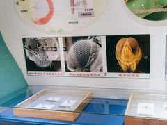 -上海昆虫博物馆