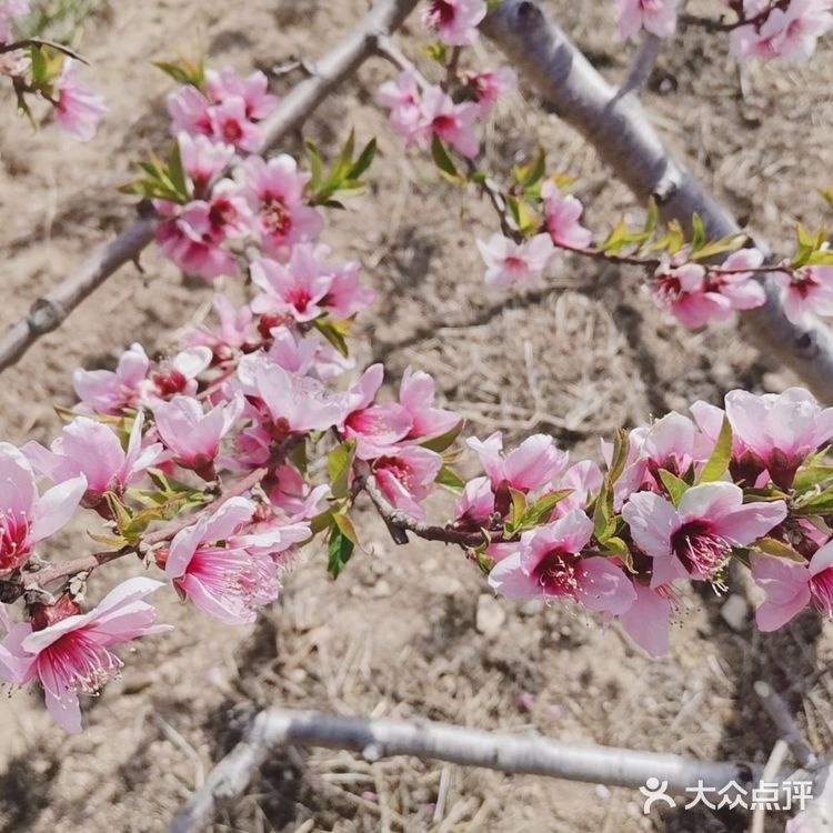 带着自己的家人去户外呼吸一下新鲜的空气