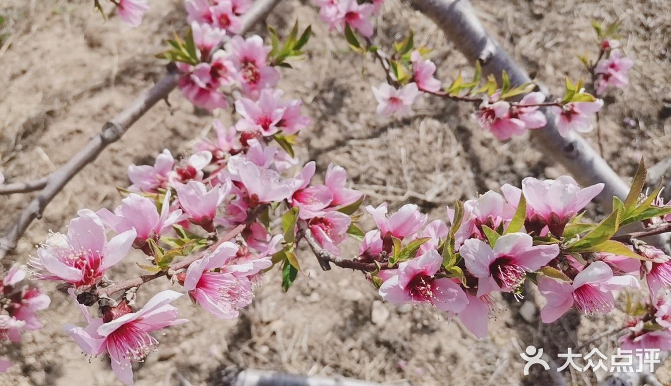 带着自己的家人去户外呼吸一下新鲜的空气